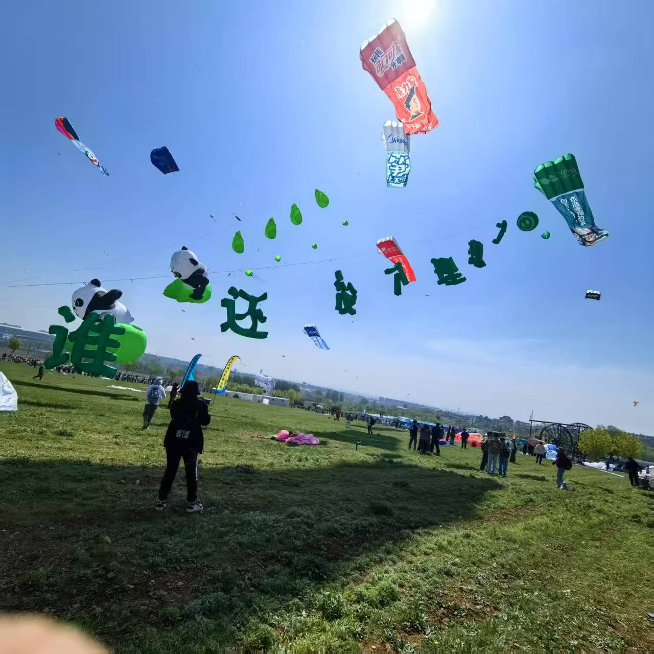 马鞍山市软体风筝定制风筝定制 - 方案
